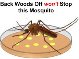 zika
