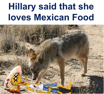 coyoteemexicanfood