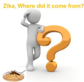 zikahome