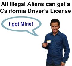 fraudvotes