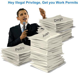 obamapermits