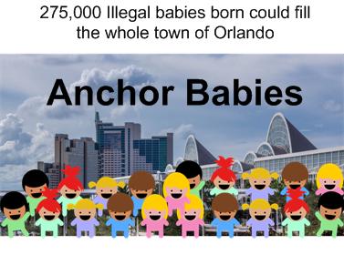 orlandobabies